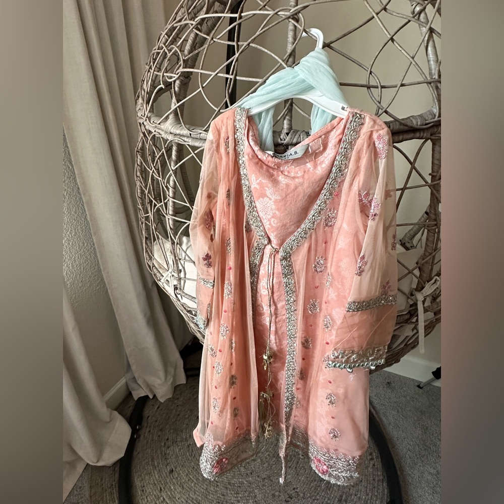 Elegant light Pink Embroidered pakistani Dress